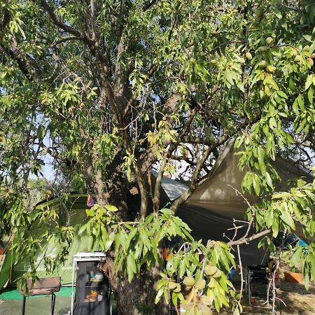 סבטי פיליפ אי ג'קוב S&M Camping מראה חיצוני תמונה