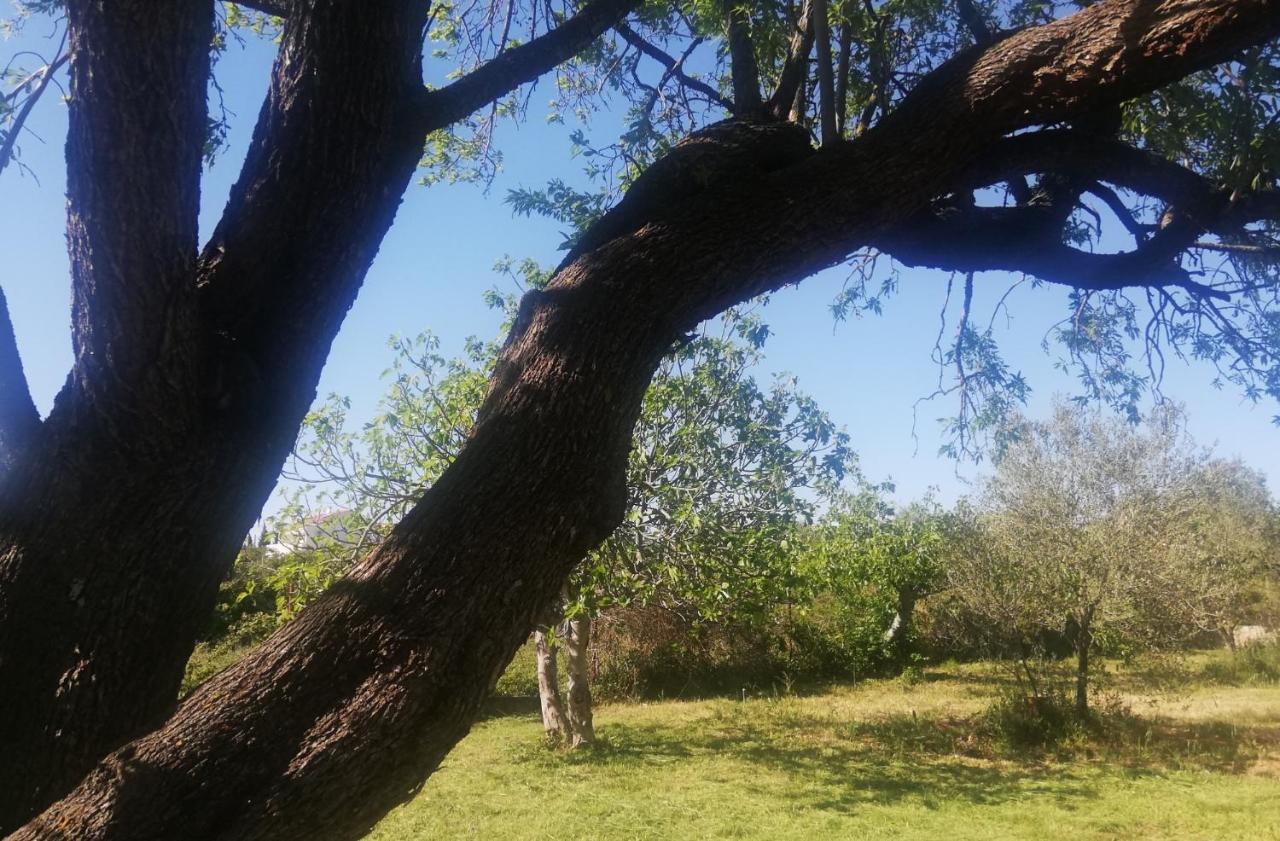סבטי פיליפ אי ג'קוב S&M Camping מראה חיצוני תמונה