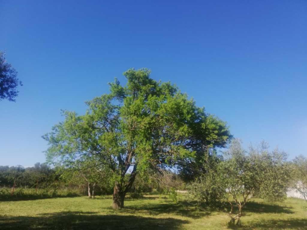 סבטי פיליפ אי ג'קוב S&M Camping מראה חיצוני תמונה